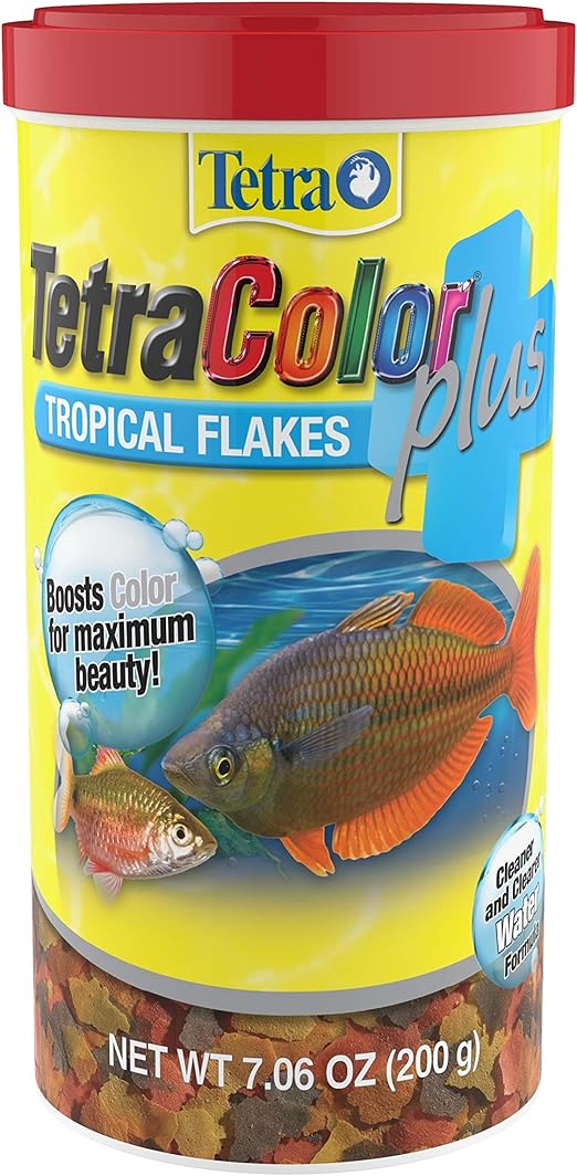tropical fish and feed