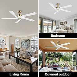 WINGBO 54 Inch DC Ceiling Fan without Lights, 5