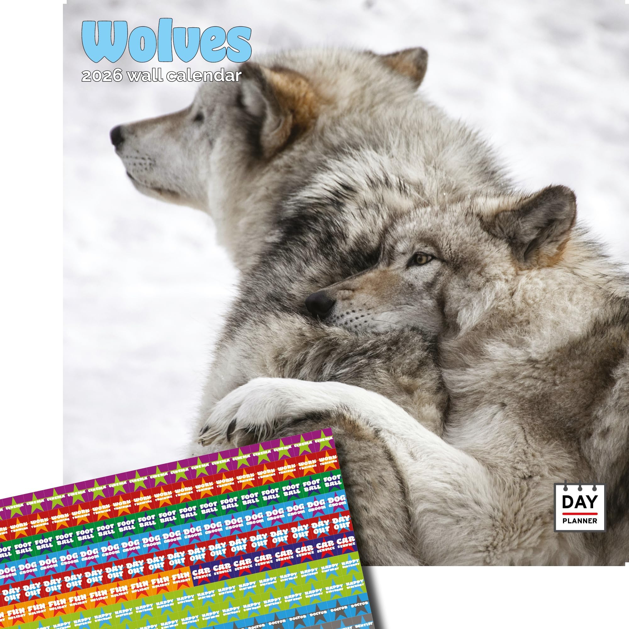 Dayplanner Publishing Wolves Calendar 2025, Large Square Wall Calendar, 16 Month, Wolves Gift Wildlife Calendar