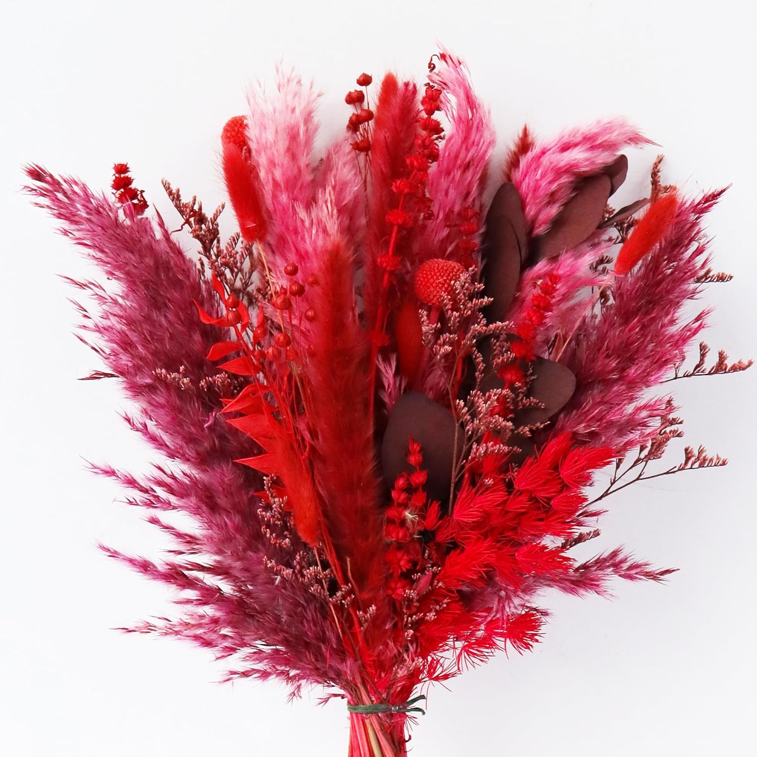 Dried & Preserved Flora - Acfruits Red Natural Dried Pampas Grass Bouquet, 17 Inch Blush Red Pampas Grass Decor Dried Flower Arrang