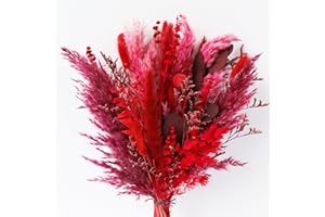 Acfruits Red Natural Dried Pampas Grass Bouquet, 17 Inch Blush Red Pampas Grass Decor Dried Flower Arrang