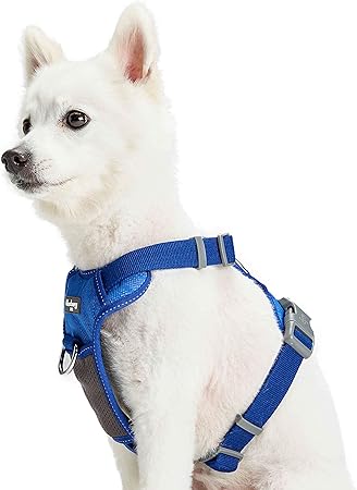 sled dog harness amazon