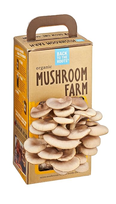Organic Mushroom Farm