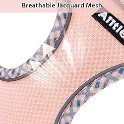 AIITLE Dog Harness and Leash Set