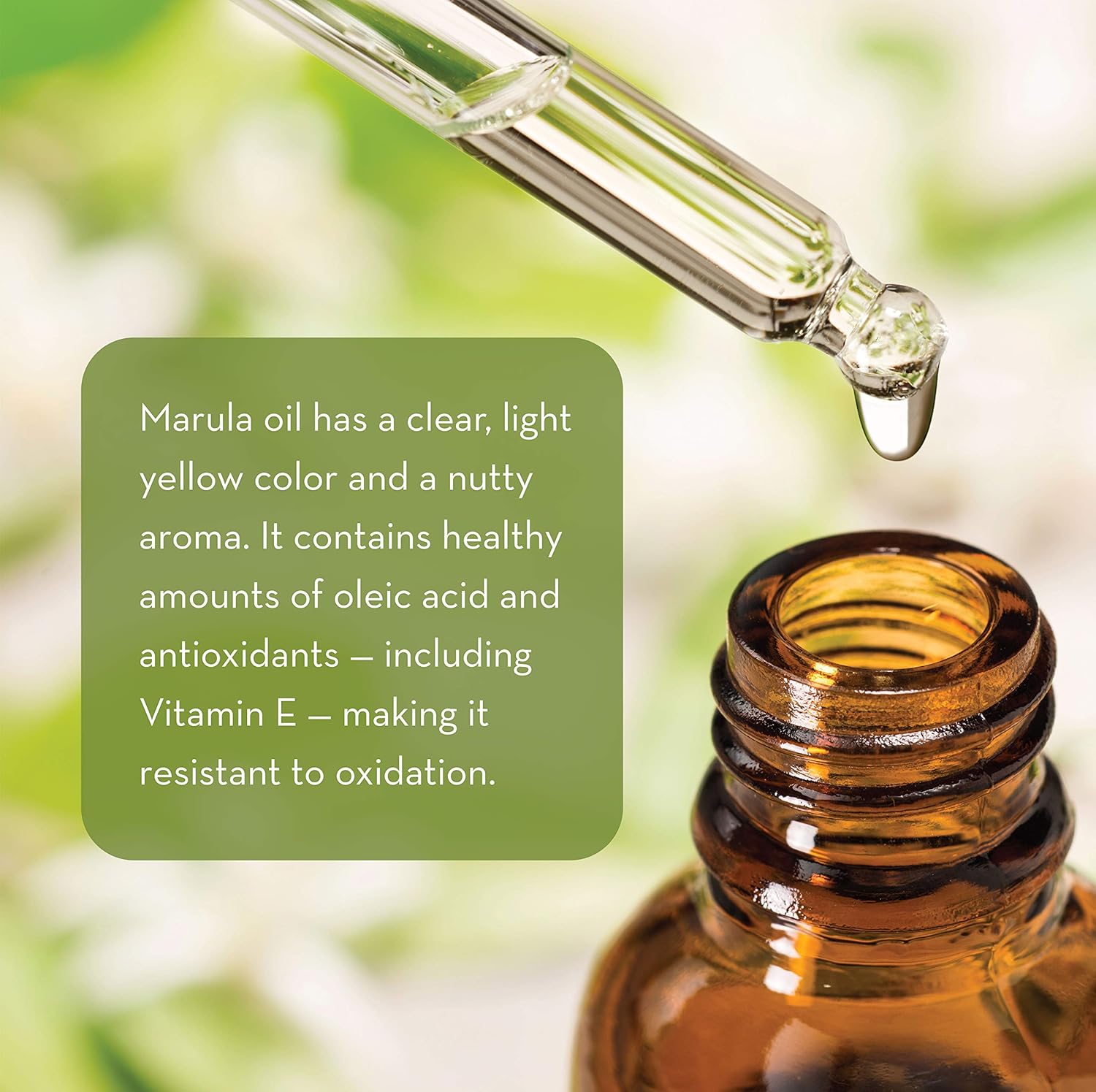Pure Body Naturals Marula Facial Oil, 1 Fluid Ounce - Cold-Pressed, Refined Luxury Beauty Oil for Face and Hair - Vegan, Gluten-Free and 100% Natural: Electronics