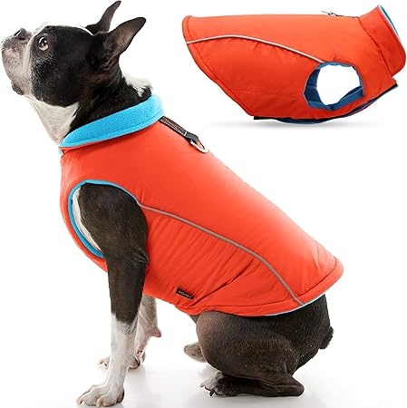 orange dog jacket