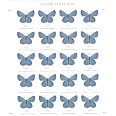 thumbnail image 2 of USPS LY1IYDM Eastern Tailed-Blue - Sheet Of 20 Non-machinable Rate Postage Stamps Scott 5136 2 of 14