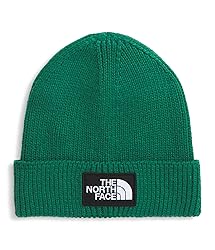 THE NORTH FACE TNF Logo Box Cuffed Beanie | Classic