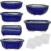 Succulent Planters Happy Bonsai 4-Piece Mini Ceramic Pots