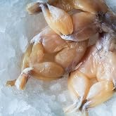 Today Gourmet Foods of NC - Frog Legs (4-6 Sets per Pound) (5 Pounds)