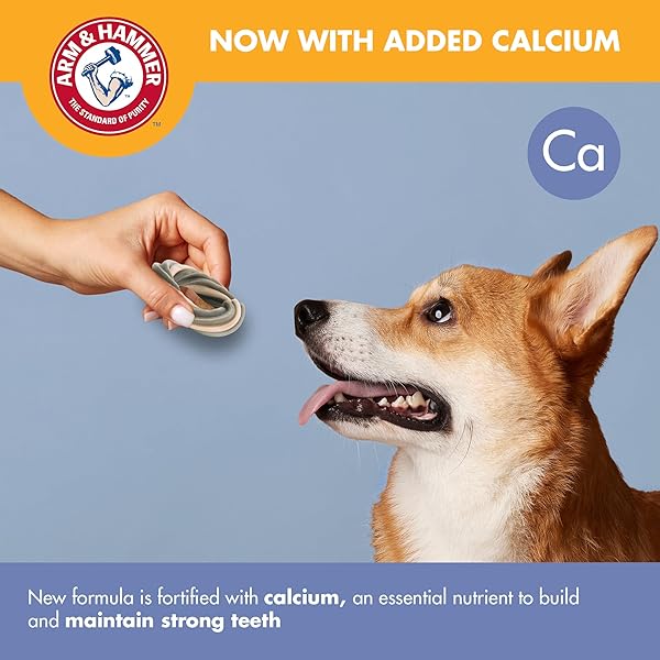 ARM & HAMMER FOR PETS RINGERS DENTAL TREATS FOR DOGS | DENTAL CHEWS FIGHT BAD DOG BREATH, PLAQUE & TARTAR WITHOUT BRUSHING | FRESH MINT FLAVOR, 5 COUNT