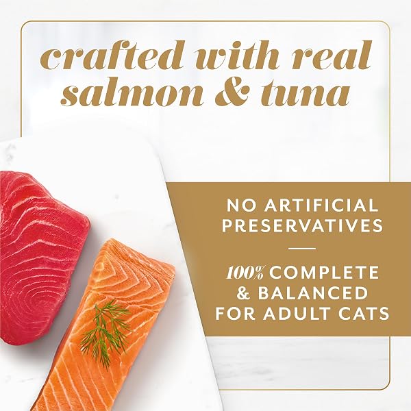 FANCY FEAST GEMS PATE CAT FOOD MOUSSE SALMON OR TUNA AND A HALO OF SAVORY GRAVY WET CAT FOOD VARIETY PACK – (1) 8 CT. BOXES – 8 CT. BOX