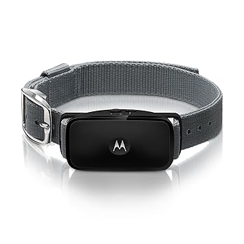 Motorola Bark 200U - Anti Bell- Erziehungshalsband (Elektroschockfrei) mit Dual Sonic-Technologie, schwarz