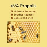iUNIK Propolis Vitamin Sleeping Mask 60ml Night Cream view 3