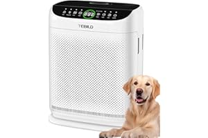 TEBILD Purificateur d'air pour la maison, grande pièce jusqu'à 2500 m² avec préfiltres lavables, filtre à air avec télécomman