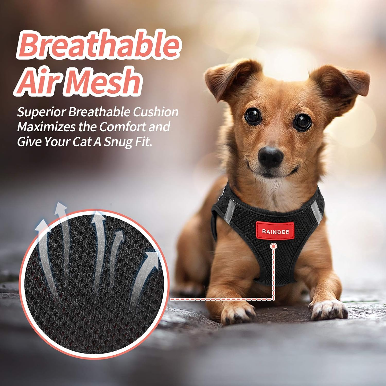 RAINDEE Dog Harness All Weather Soft- Mesh Vest Harness for Small and Medium Dogs 4 Size 7 Colors : Kitchen & Dining