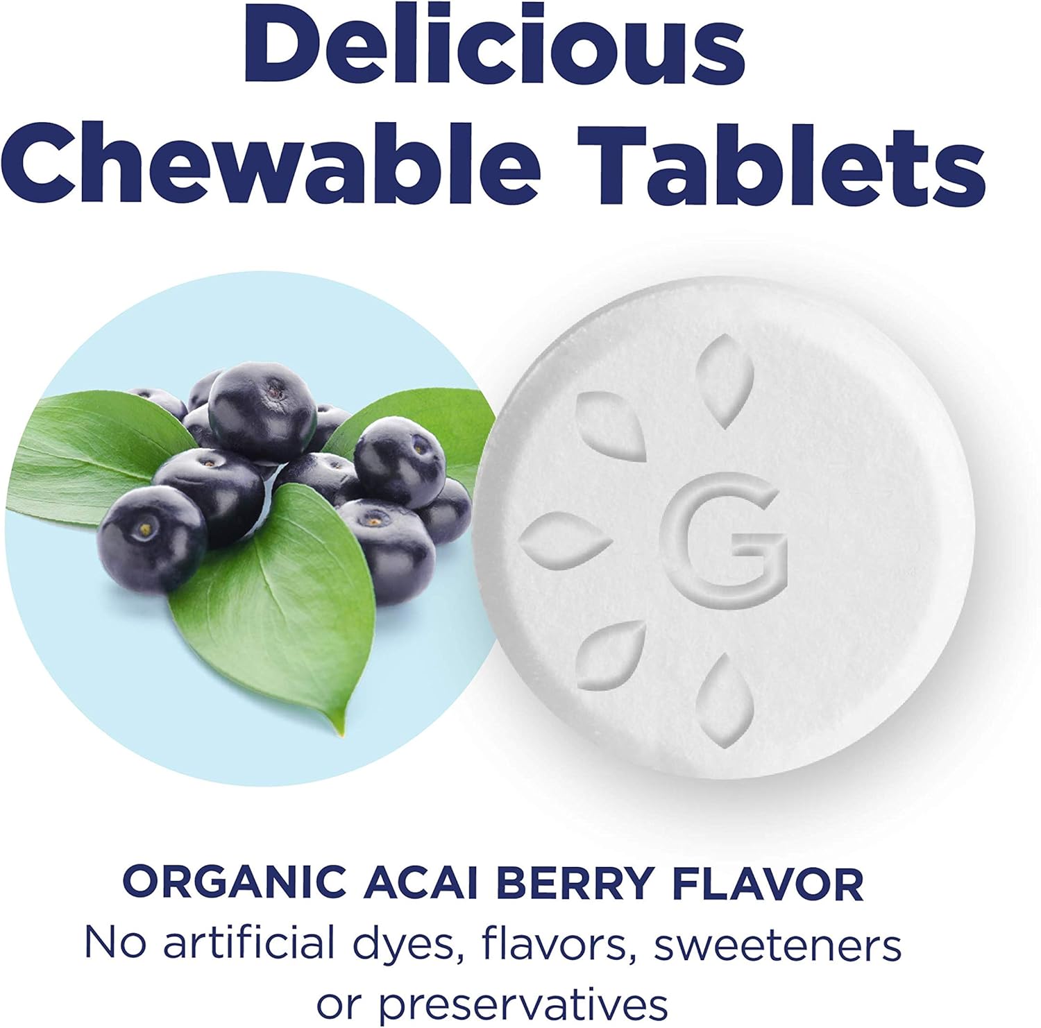 Genexa Flu Fix – 60 Tablets | Certified Organic & Non-GMO, Physician Formulated, Homeopathic | Multi-Symptom Flu Medicine: Health & Personal Care