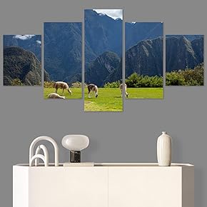 SIGNWIN 5 Panel Canvas Wall Art Modern Art...