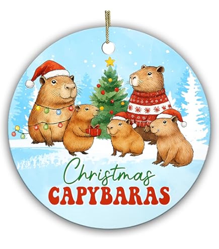 Compte à Rebours De Noël Capybara - 24 Pièces D'ornement à Suspendre En