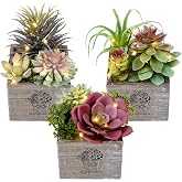 Mingfuxin Artificial Plants Indoor with LED Lights, Small Fake Plants | Light Up Artificial Succulents in Pots, Fake Succulents for Bedroom Bathroom Desk Living Room Office Home Decor, 3 Pack
