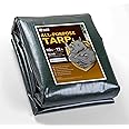 GUARD SHIELD Super Heavy Duty Green/Silver Poly Tarp Cover 10x12 Feet Waterproof 16mil Thick UV and Tear Resistant Tarpaulin with Grommets and Reinforced Edges