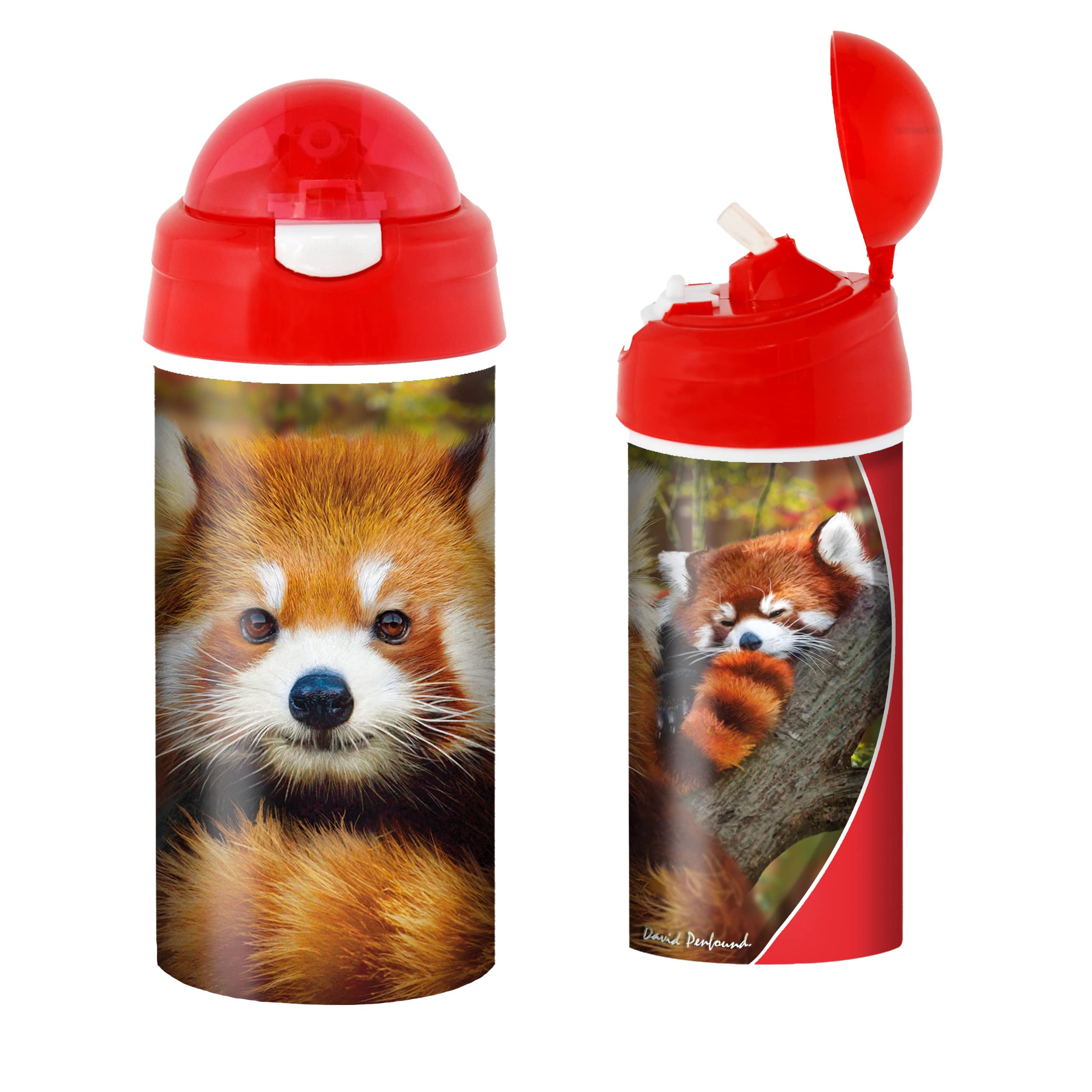 3D LiveLife Drinking Bottle - Baby Red Panda from Deluxebase. 3D Lenticular 600ml BPA Free Reusable Red Water Bottle with Straw & Flip Top Lid. Leak Proof Animal Drinks Bottles with Pandas Design. — image 1