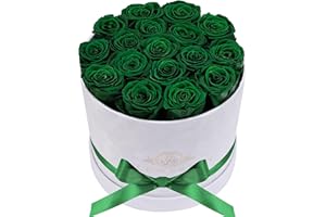 PRIFROTI Forever Real Roses in Suede Box - 17-Piece Roses in a Box - Real Preserved Roses That Last Over a Year - Preserved Flowers for Delivery Prime - Valentine's Day, Birthday, Mother's Day (Dark Geen)
