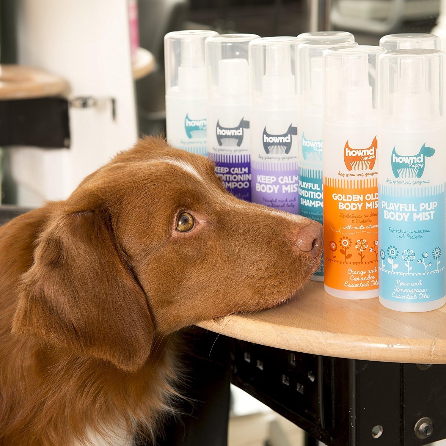 HOWND Puppy Conditioning Shampoo 250ml, White, 250 ml (Pack of 1) - Image 4