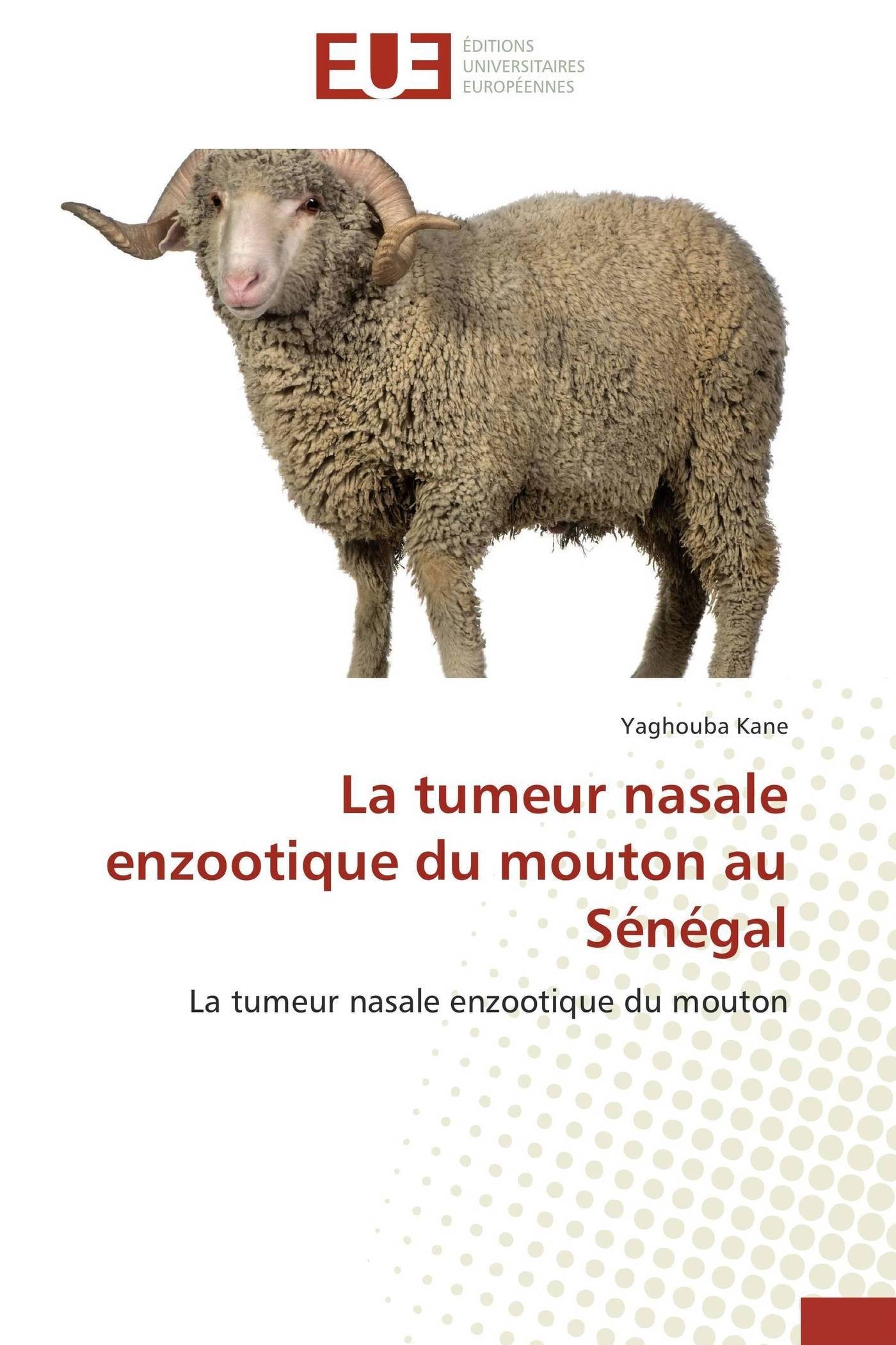 La Tumeur Nasale Enzootique Du Mouton Au Senegal La Tumeur Nasale Enzootique Du Mouton Omn Univ Europ French Edition Kane Yaghouba Amazon Com Books