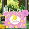Windkream 45" x 31" Lemonade Tablecloth for Lemonade Stand Supplies Lemon Table Cover for Kids Lemon Party Supplies Summer Beach Picnic Birthday Party Decorations(Pink)