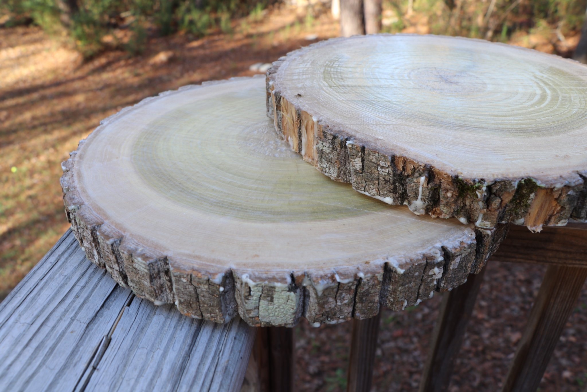 Natural Wood Slices, Round Basswood Slabs, 9 to 11 inches, Rustic Tree Bark Slice, Weathered Log