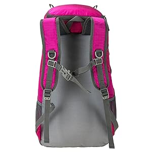 Padded shoulder straps with chest strap