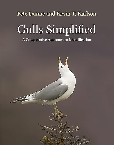 Download Gulls Simplified: A Comparative Approach to Identification PDF