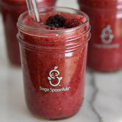 Sage Spoonfuls Glass Snack Jars Glass Baby Food Storage Containers