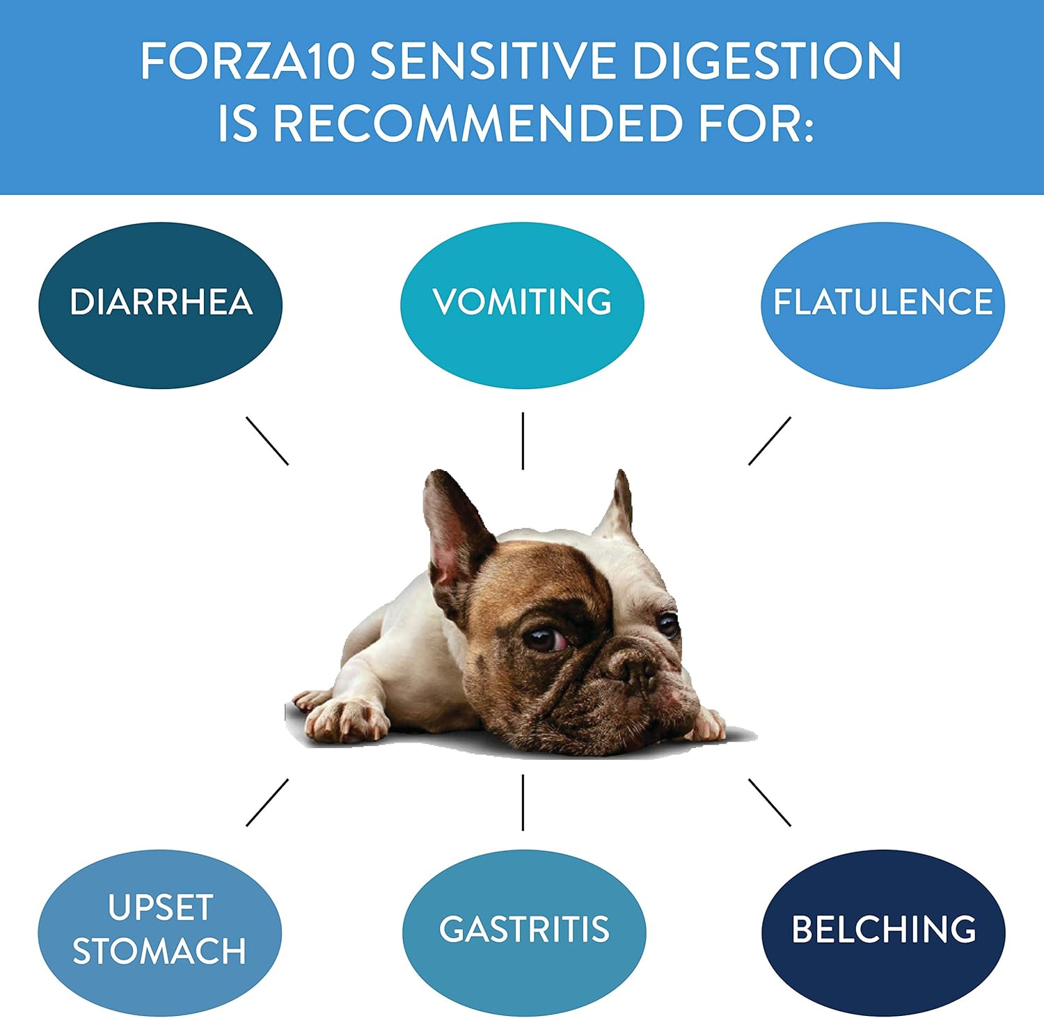 forza10 sensitive digestion