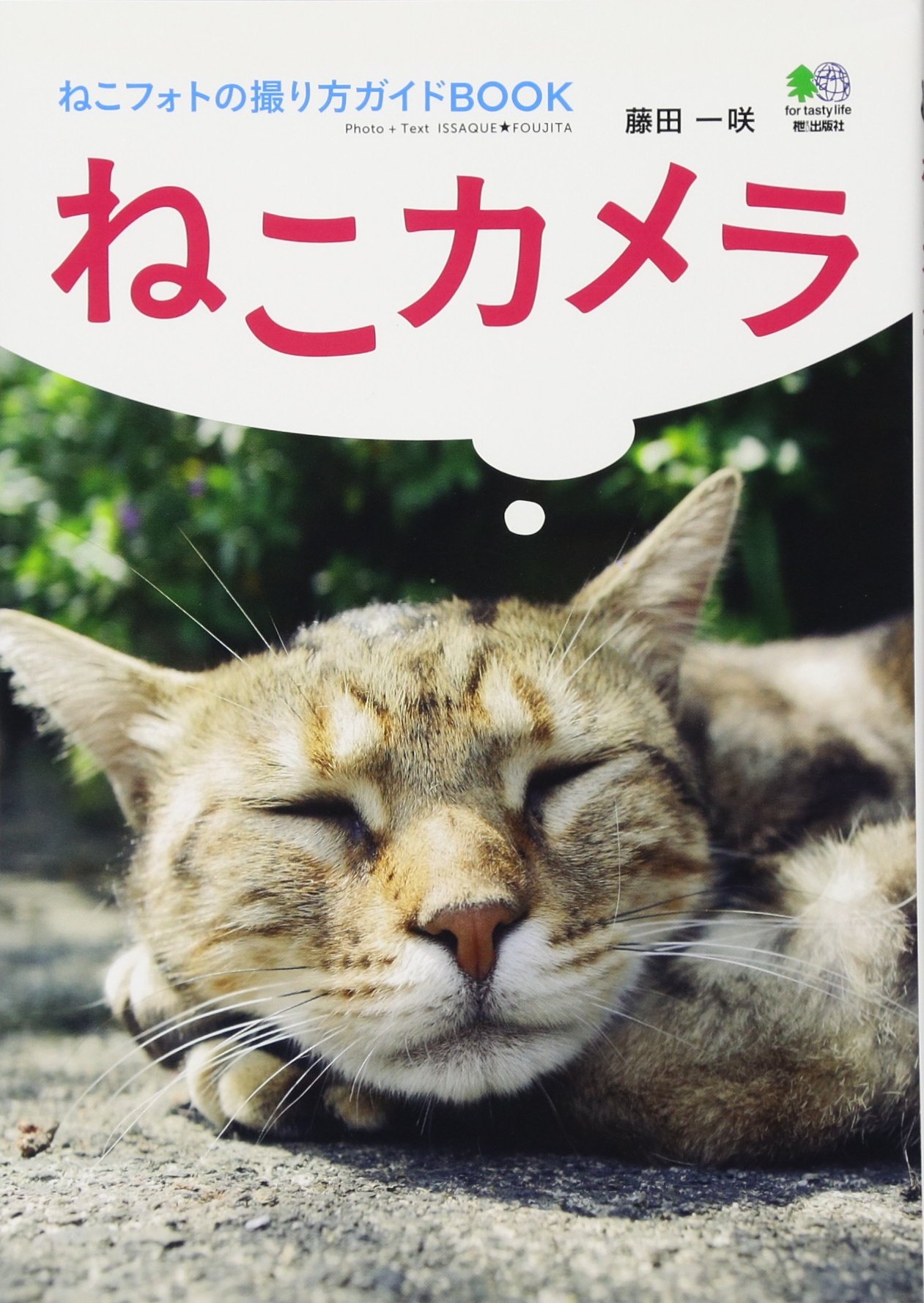 ねこカメラ Issaku Fujita Amazon Com Books