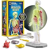 National Geographic Human Body Model for Kids That Glows in The Dark - 32-Piece Interactive Anatomy Model with Bones, Organs, Muscles, Science Kit Stocking Stuffer, Anatomy & Physiology Study Tools