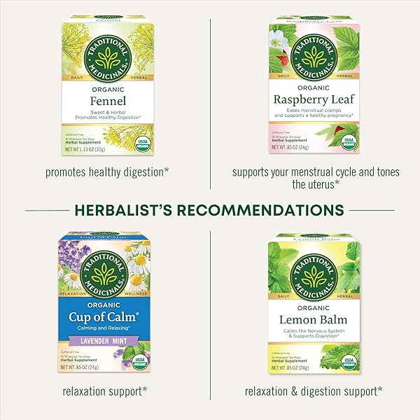TRADITIONAL MEDICINALS ORGANIC MOTHER’S MILK WOMEN’S TEA 32 COUNT (PACK OF 1)