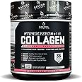SASCHA FITNESS Hydrolyzed Multi Collagen Peptides Tipes 1,2 & 3 |Hyaluronic Acid|Biotin |Cynatine HSN|Vitamin C & E |for Hairs, Skin & Bone Support|Strawberry Lemonade