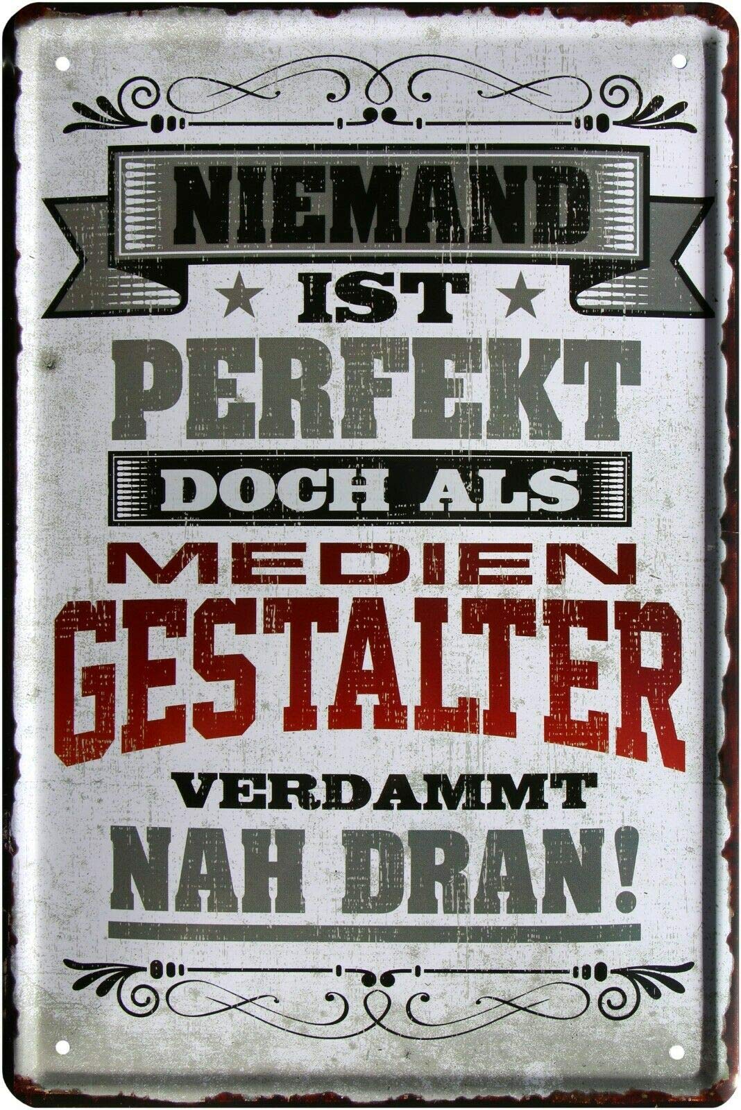 2202 Metal Sign with Nobody is Perfect, But as a Media Creator 20 x 30 cm