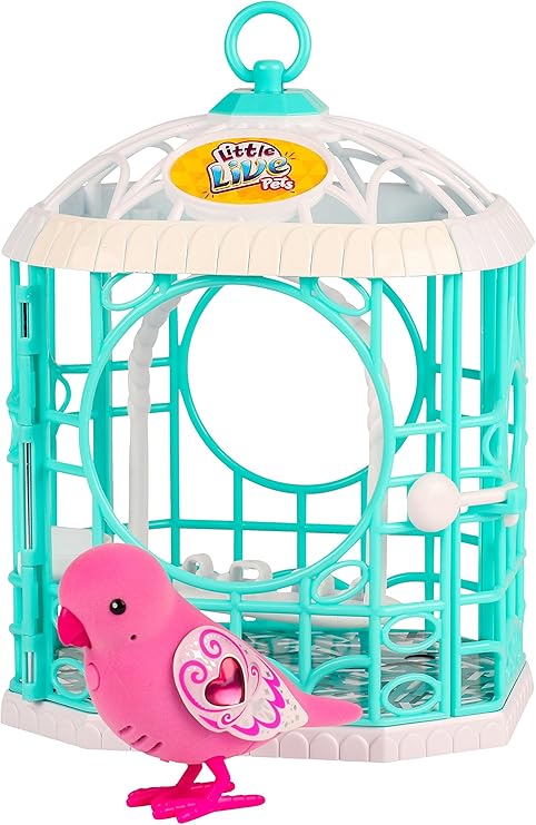 little live pets bird amazon