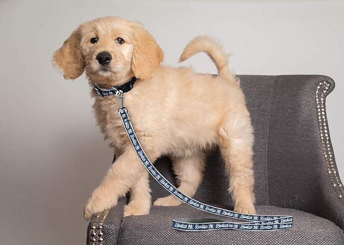new york yankees dog harness