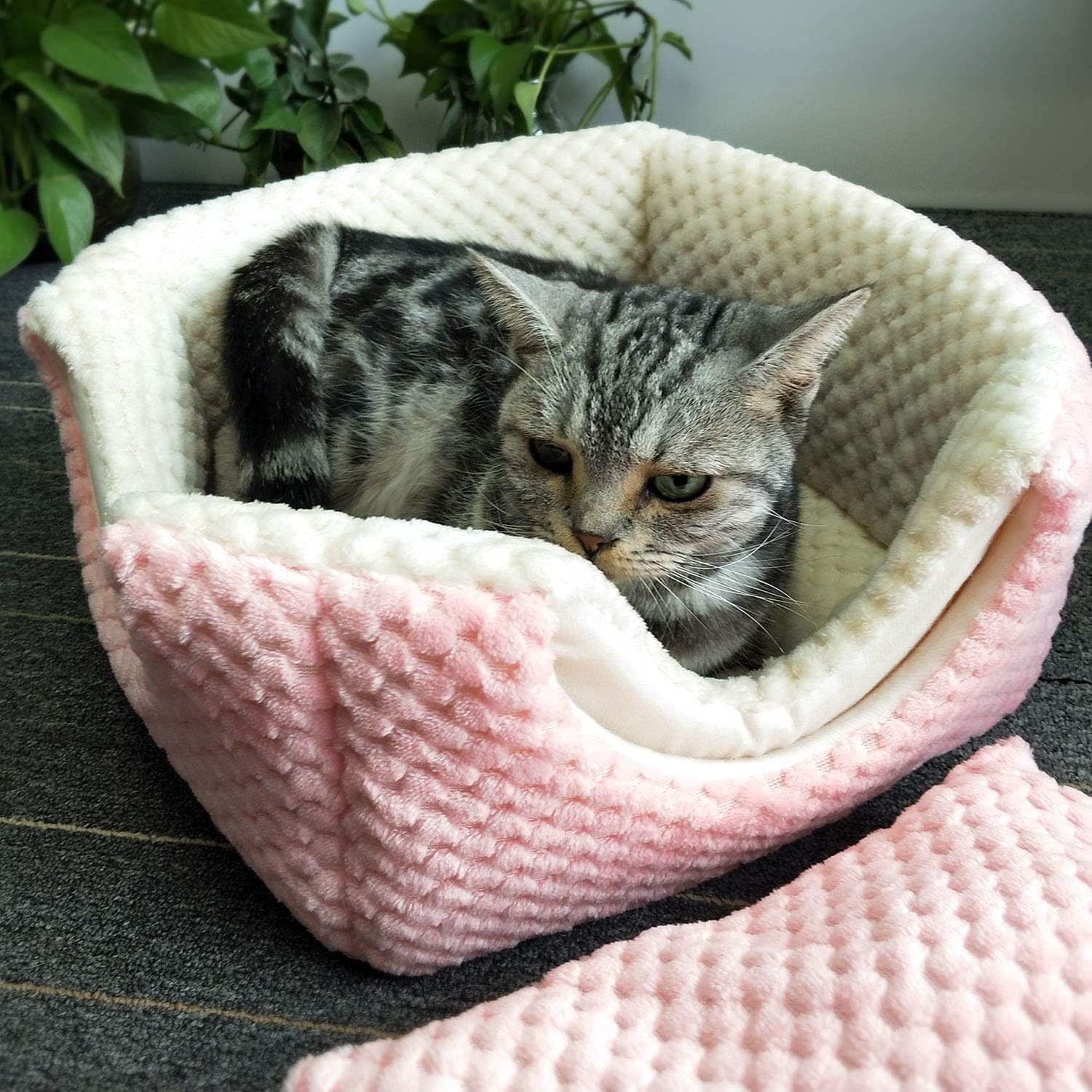 Petper Cat Bed, Cat Self Warming Bed & Sofa, Pink : Pet Supplies