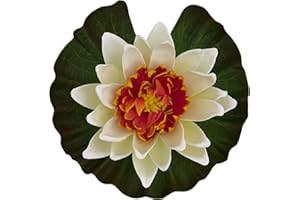 Tetra Pond Floating Water Lily (Colors may vary)