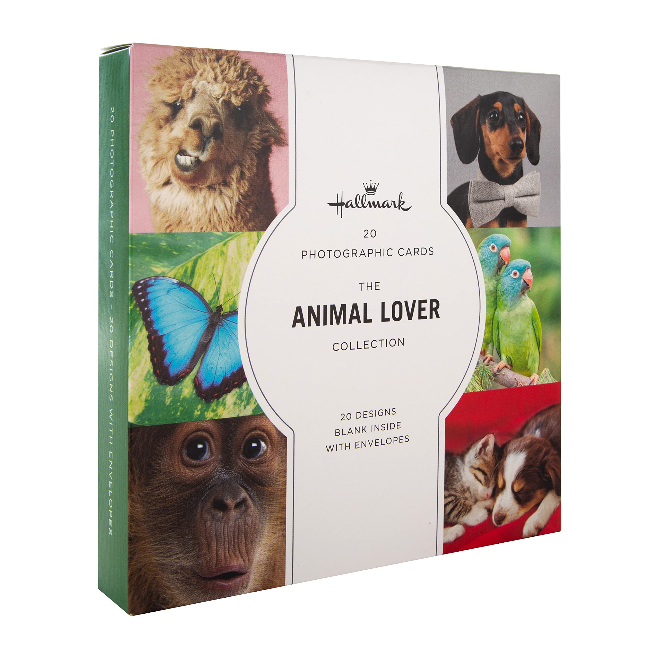 Hallmark Gallery Blank Cards - Multipack of 20 in 20 Photographic Animal Designs