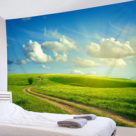 Amazon Co Jp Lb 風景写真タペストリー 緑 野原 青空と白雲 インテリア 多機能壁掛け ファブリック装飾用品 おしゃれ モダンなアート 模様替え 部屋 窓カーテン 個性ギフト 新居祝い150ｘ100cm ホーム キッチン