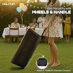 Dolphin 1000W Karaoke Party Speaker with 2 Wireless