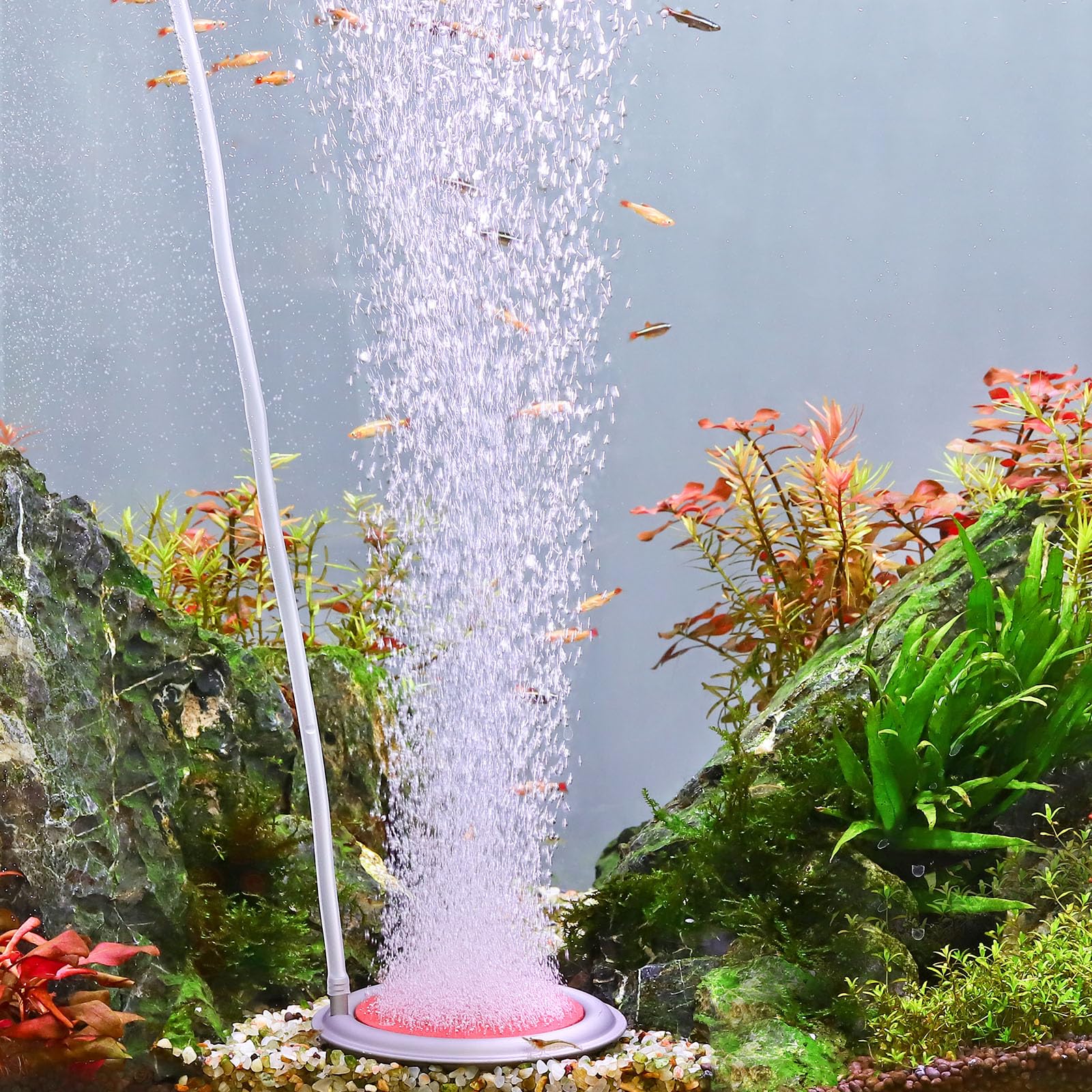 Photo 1 of hygger Aquarium Air Stone, 3.4 Inch Nano Air Stone Makes Super Tiny Bubbles, Ultra Quiet Dissolved Oxygen Diffuser Small Airstone with Stainless Steel Base for Aquarium, Fish Tank & Hydroponic, Round