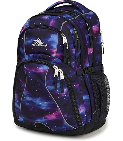 JanSport JS00TDN731T Big Backpack, Cupcakes
