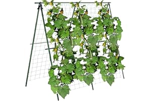 AIRSTAR Cucumber Trellis, 4.8ft Foldable A-Frame Garden Support for Climbing Plants Like Cucumbers, Tomatoes, Squash, Peas, and Flowers (57-in, Green)